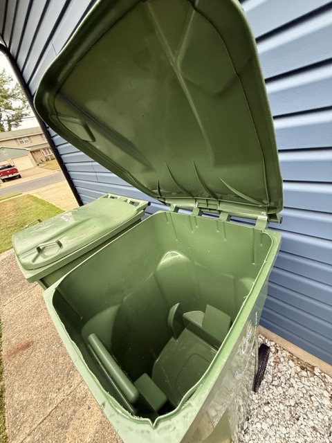 Trash bin cleaning