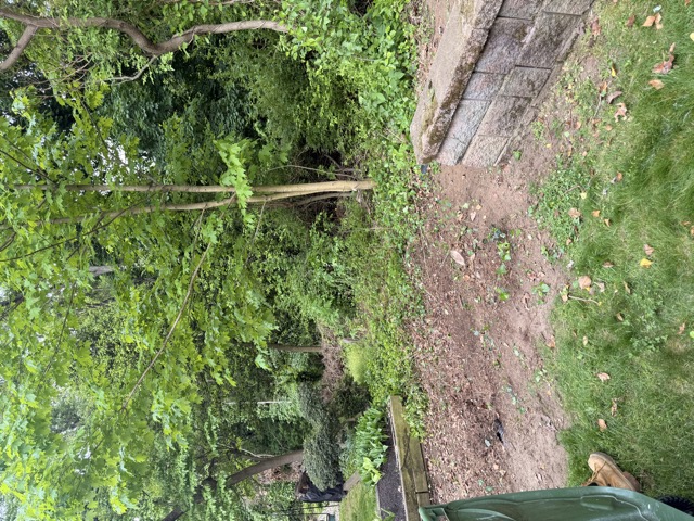 Yard debris and waste removal