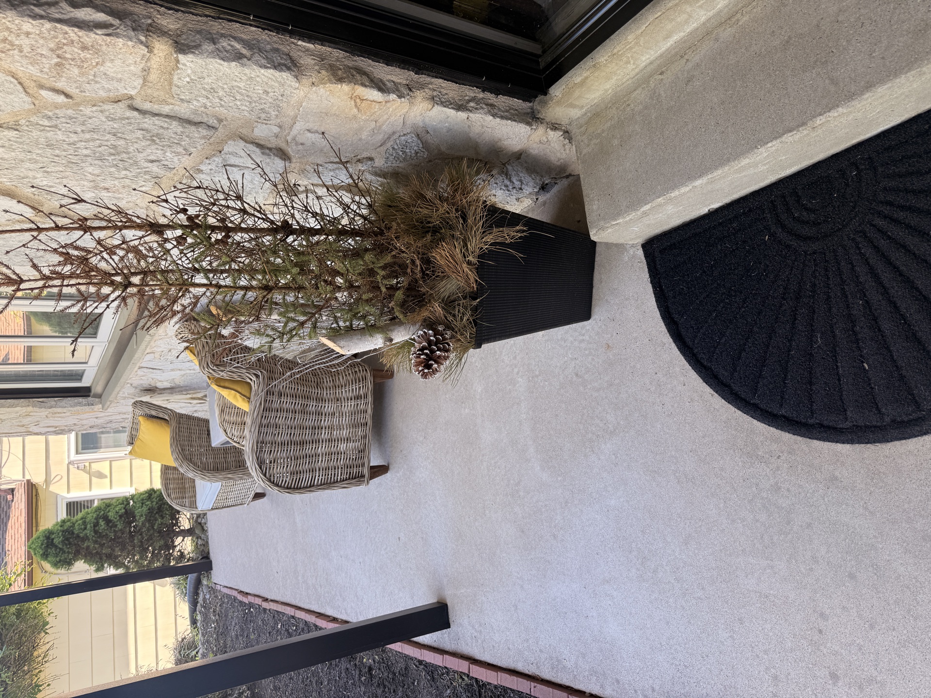 Patio after cleaning